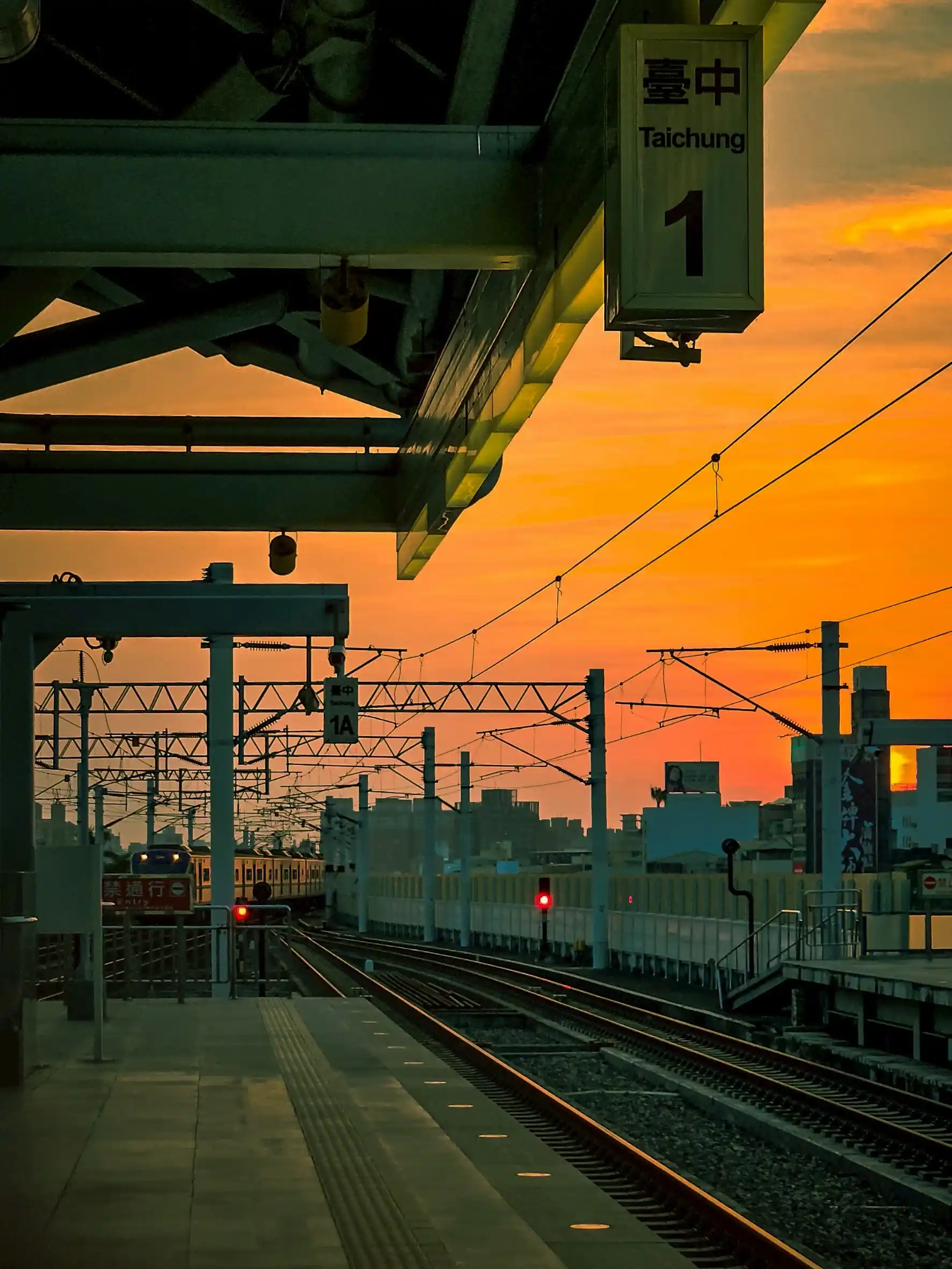 Line Photo 6